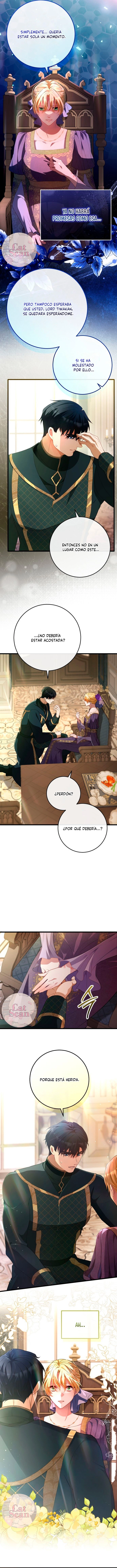 3 Propuesta salvaje