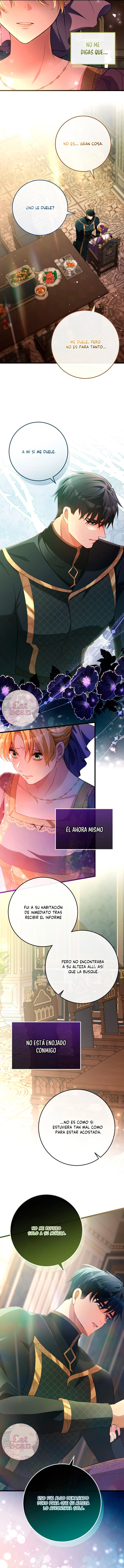 4 Propuesta salvaje