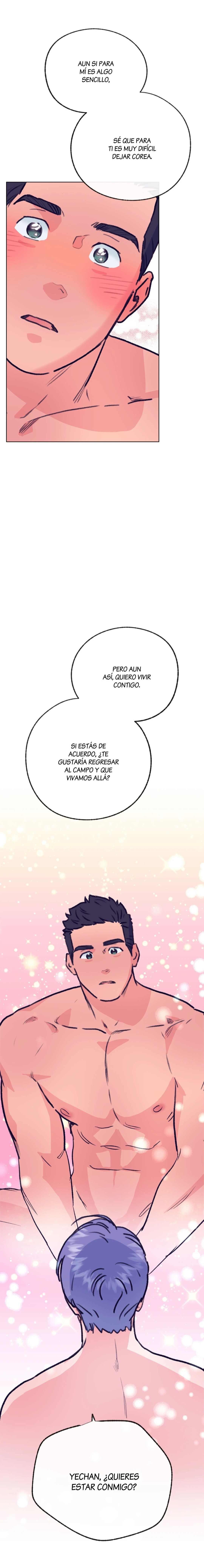 20 Tractor del Amor