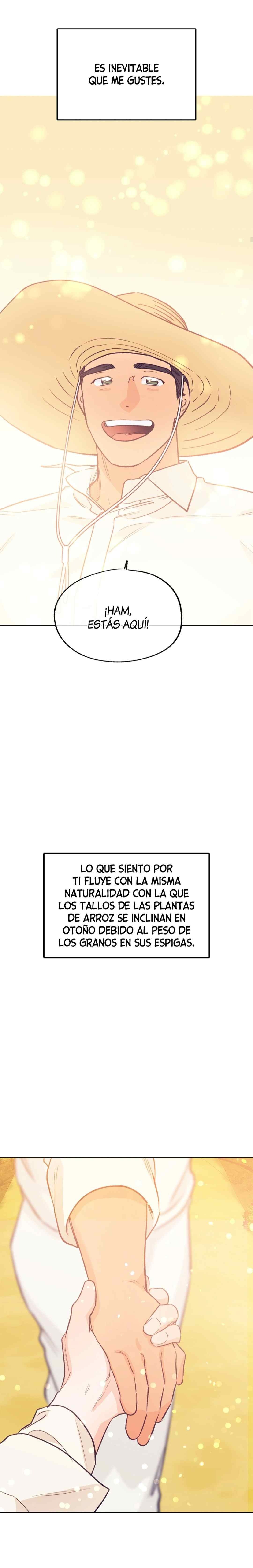 5 Tractor del Amor