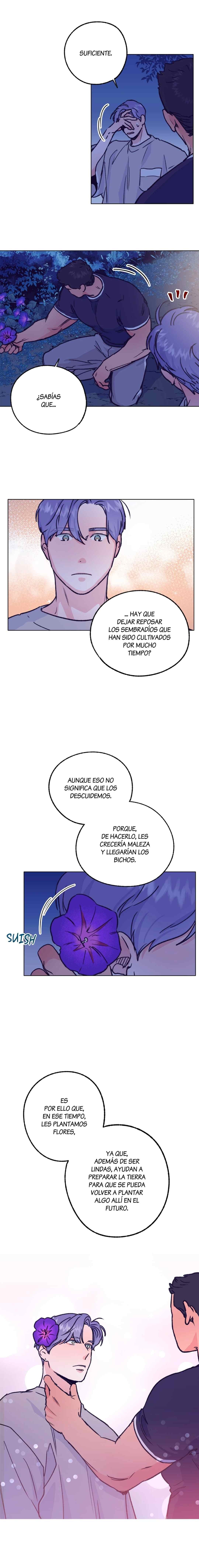 11 Tractor del Amor