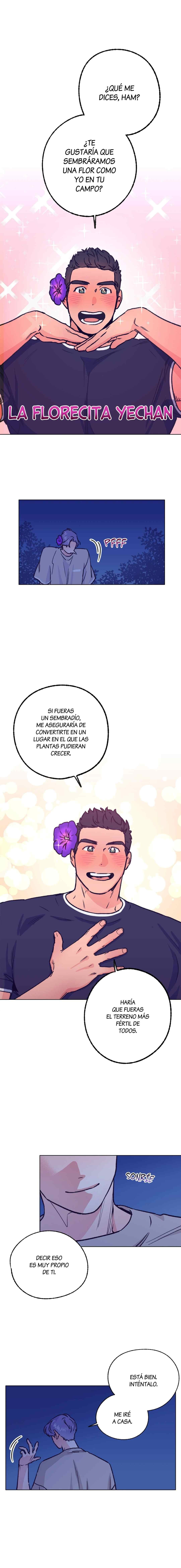 12 Tractor del Amor