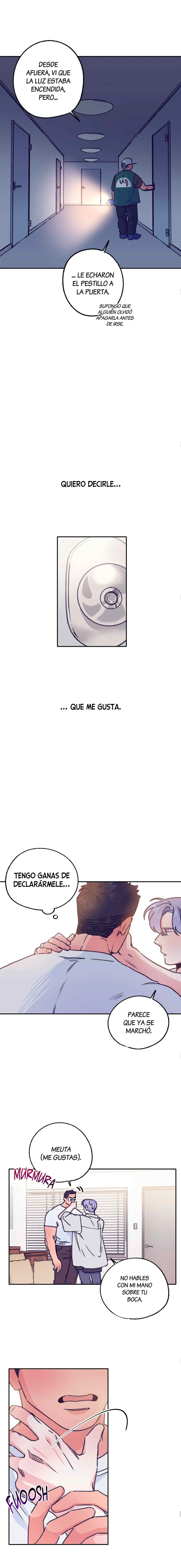 5 Tractor del Amor