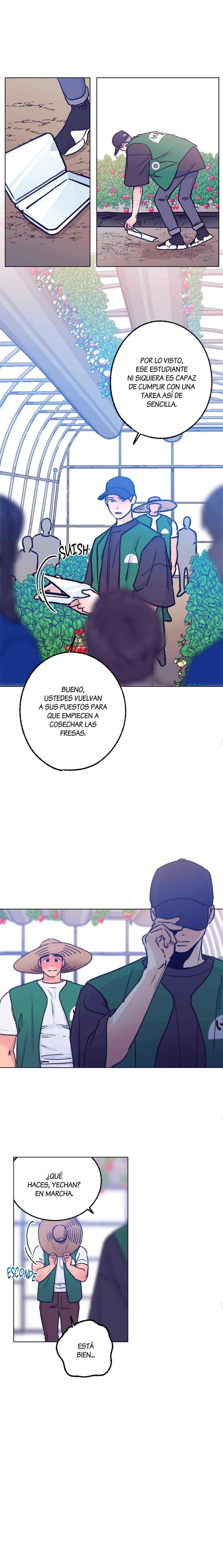 5 Tractor del Amor