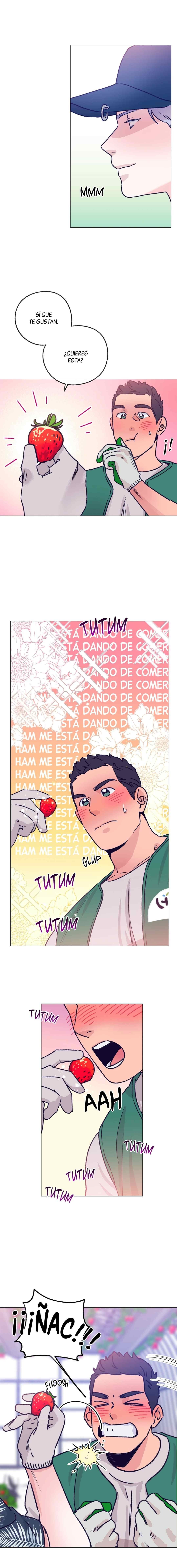 12 Tractor del Amor