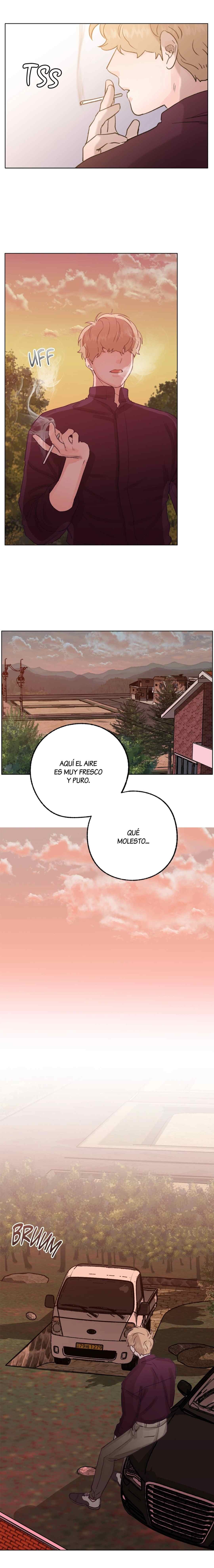 14 Tractor del Amor