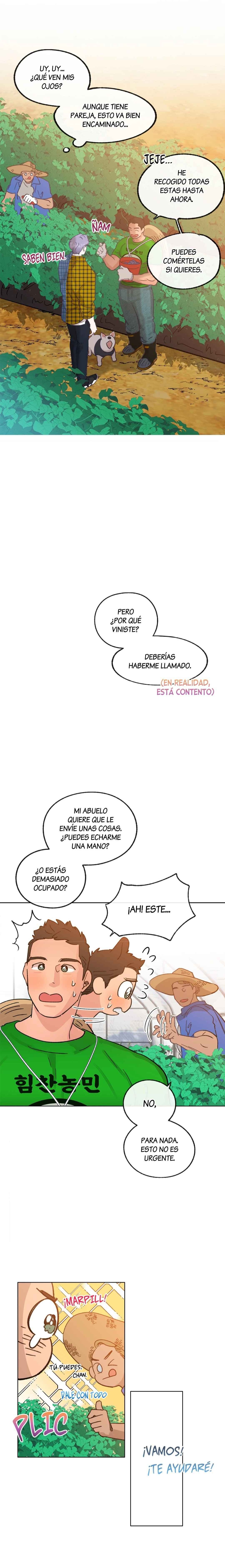 12 Tractor del Amor