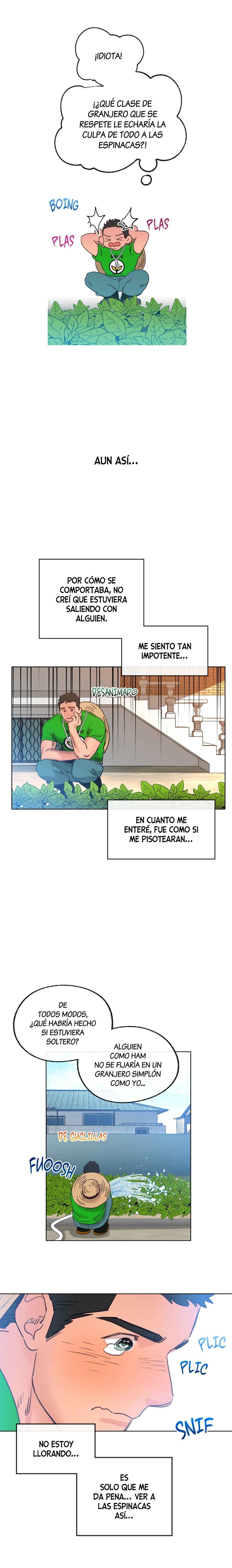 6 Tractor del Amor