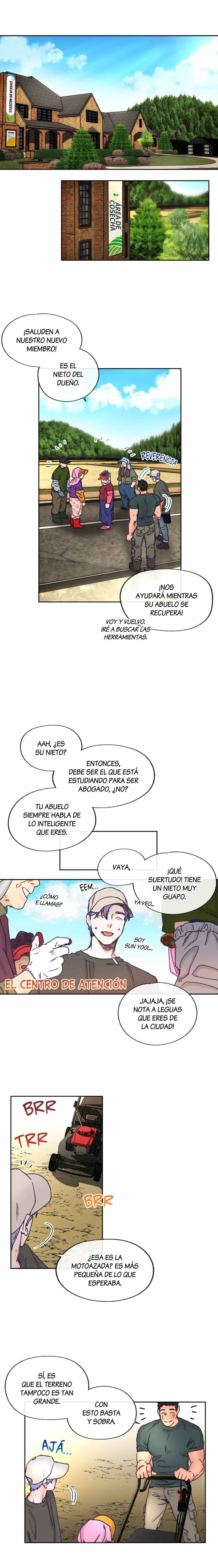 7 Tractor del Amor