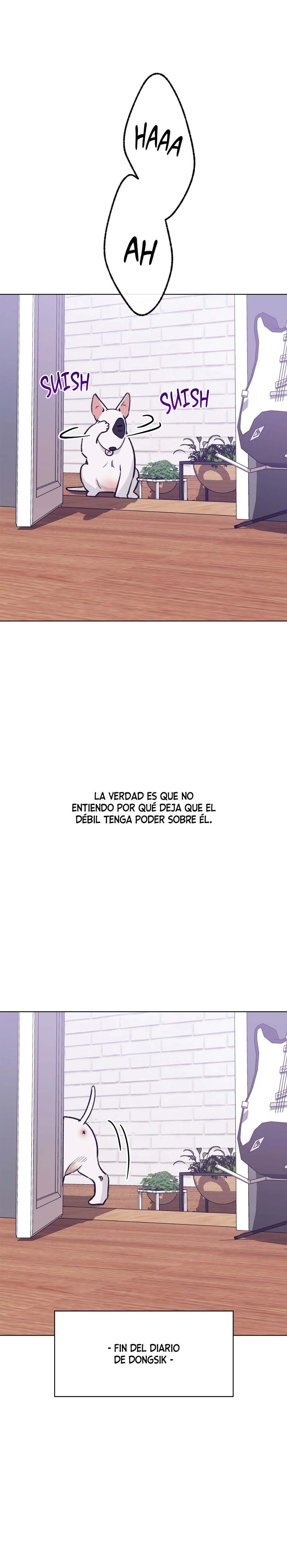 11 Tractor del Amor