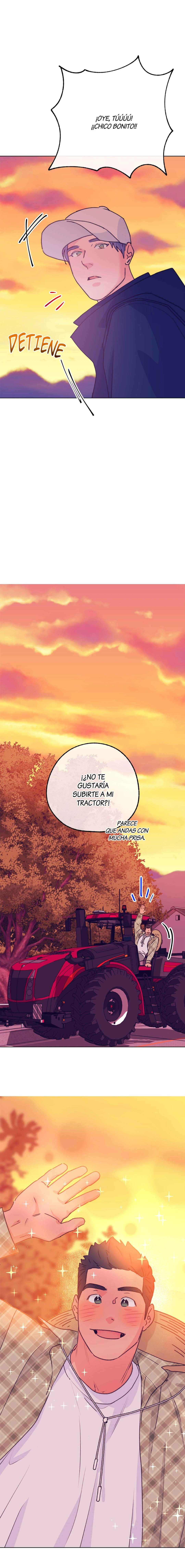 17 Tractor del Amor