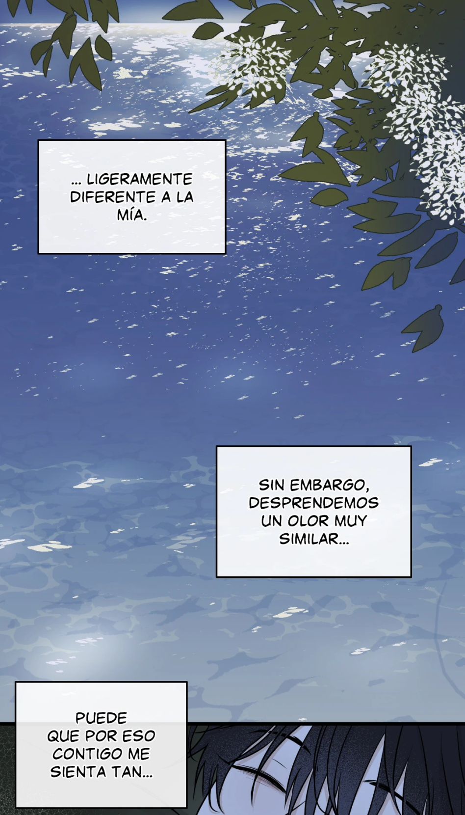 19 Marea baja en el crepúsculo