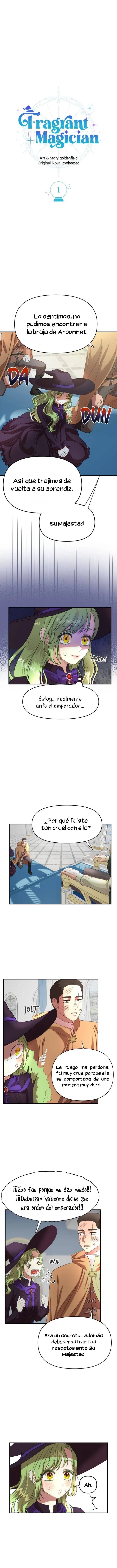 10 Una Aprendiz De Bruja Fragante
