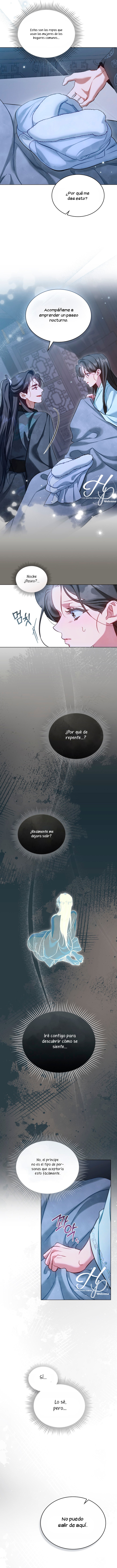 1 Paseo Nocturno (+18)