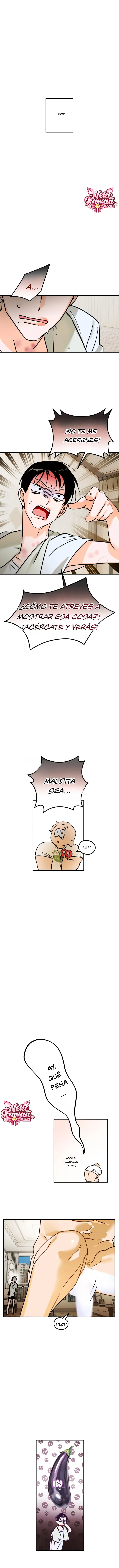 8 Faltan 8 días
