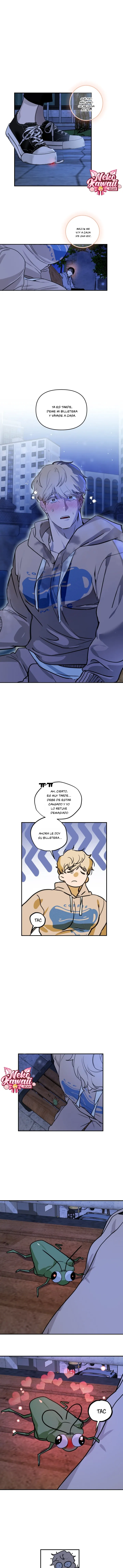 6 Faltan 8 días