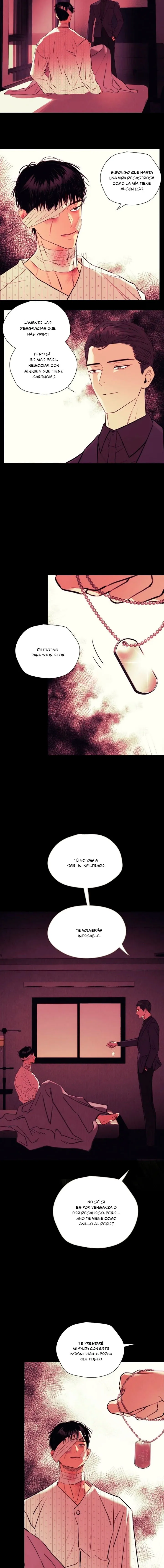 14 Sombras de junio