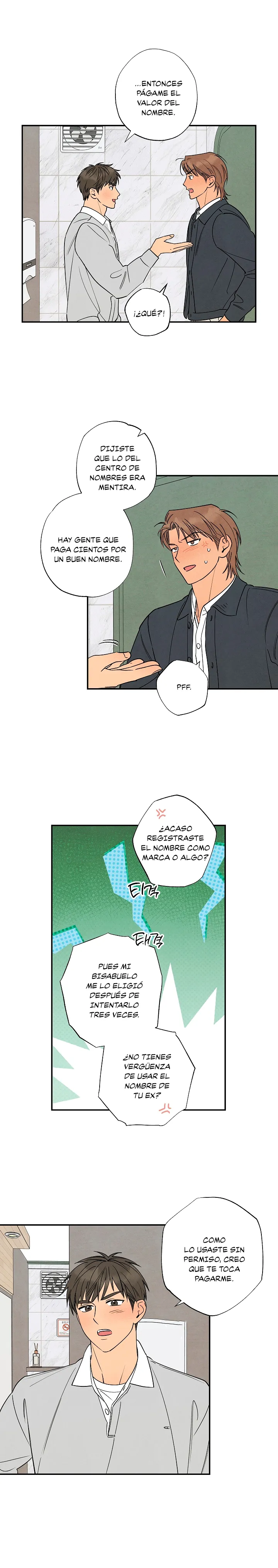 19 Siete domingos