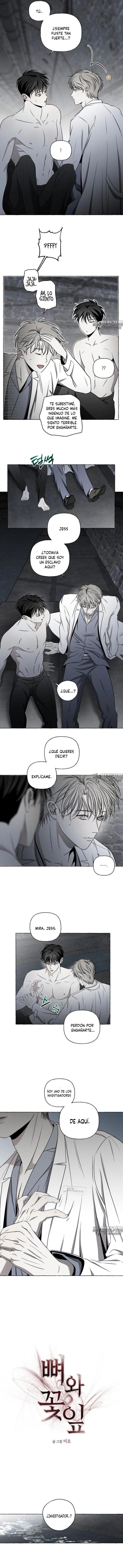 7 Huesos y pétalos