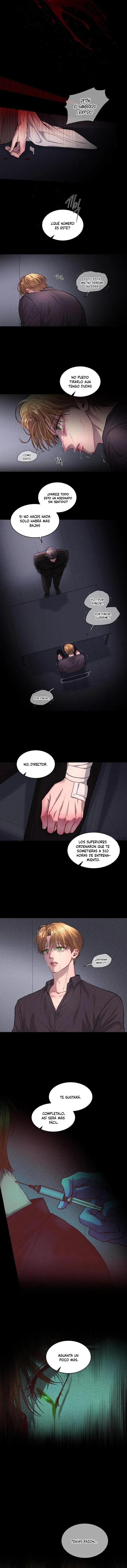 8 Propuesta ron