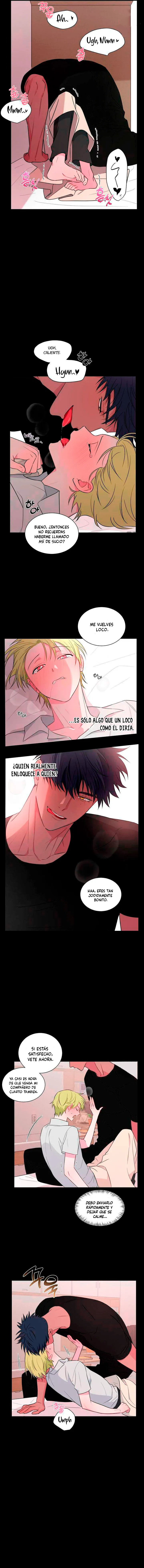 14 Dulce Ciruela