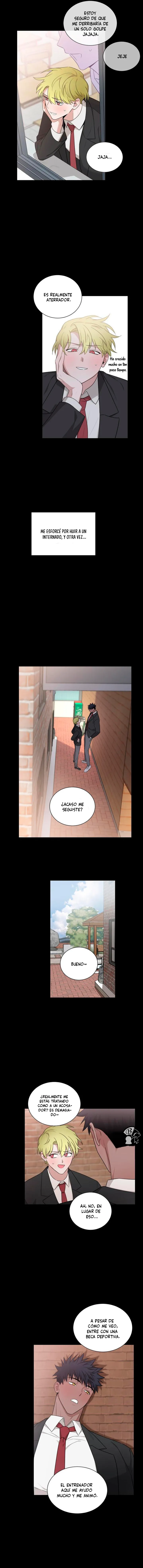 13 Dulce Ciruela