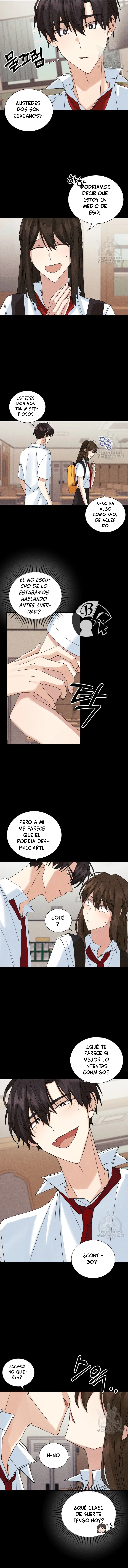13 Placebo Memory