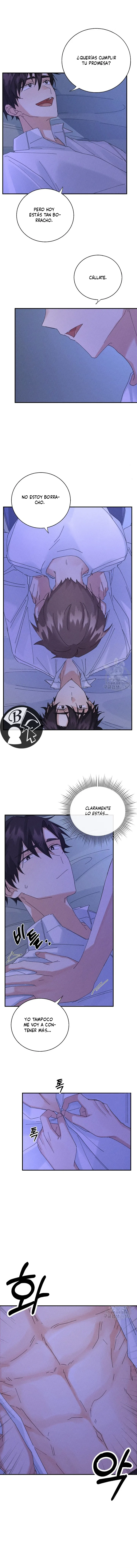 13 Placebo Memory