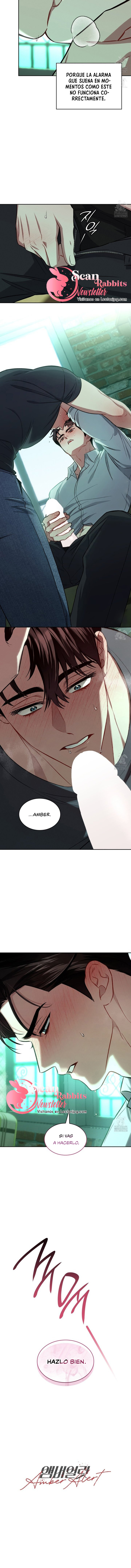 4 Alerta Amber