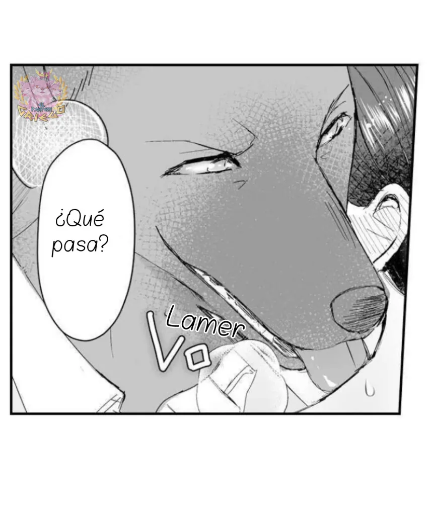 16 Mi esposa predestinada