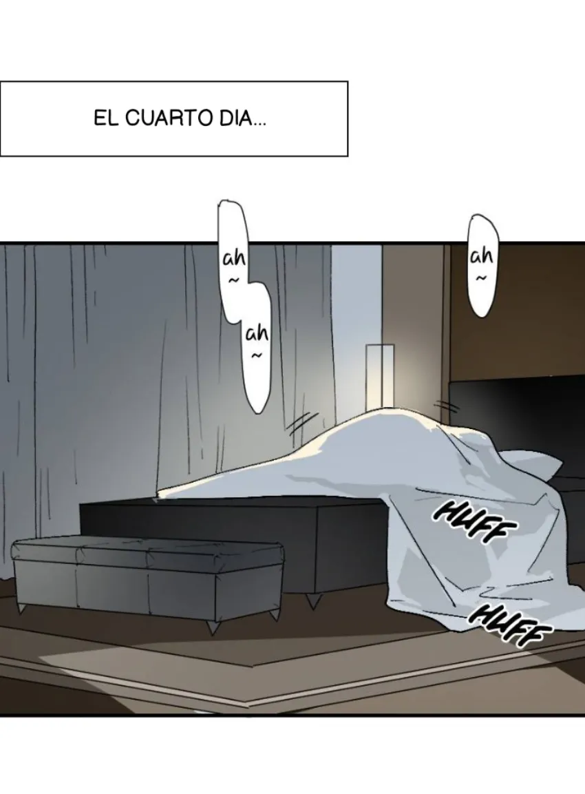 8 Mis cuatro maridos