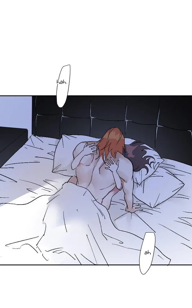 6 Mis cuatro maridos