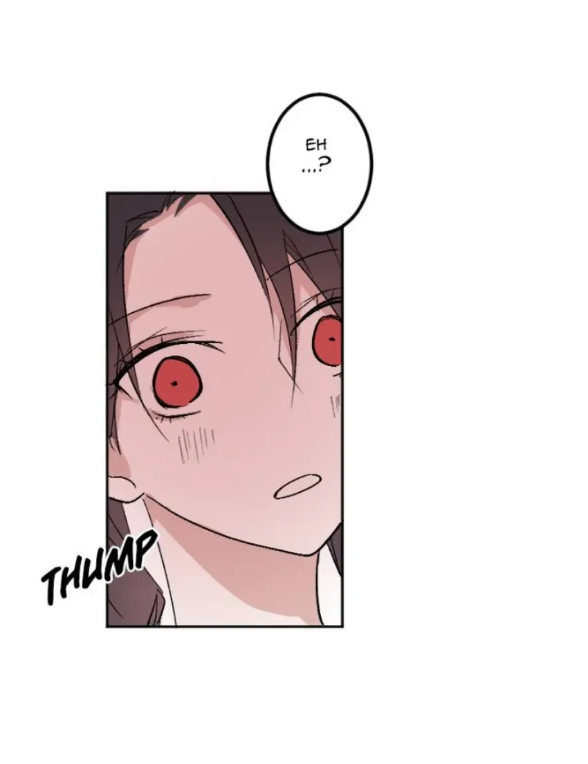 4 Mis cuatro maridos