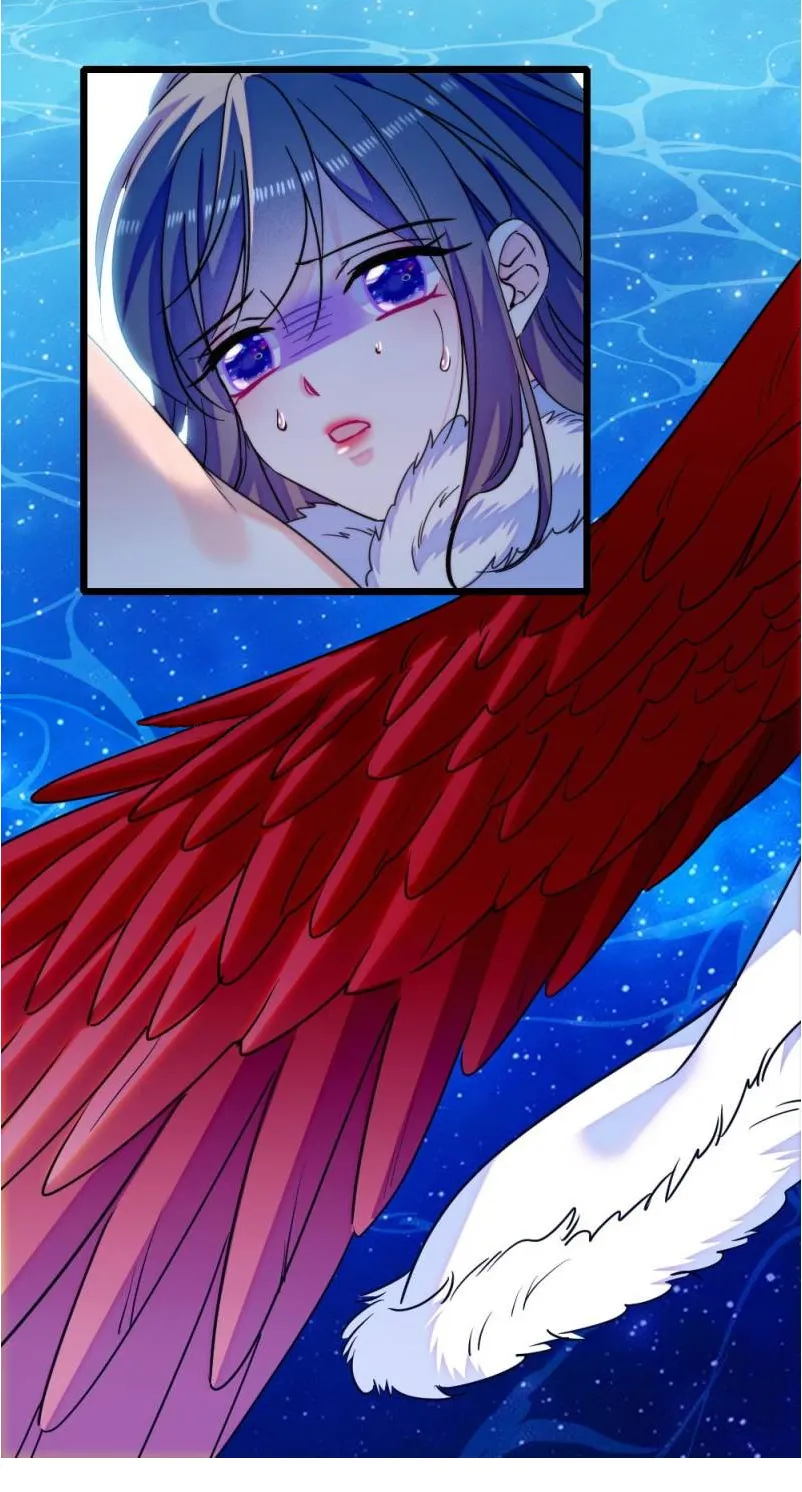 12 El lindo mundo de las bestias