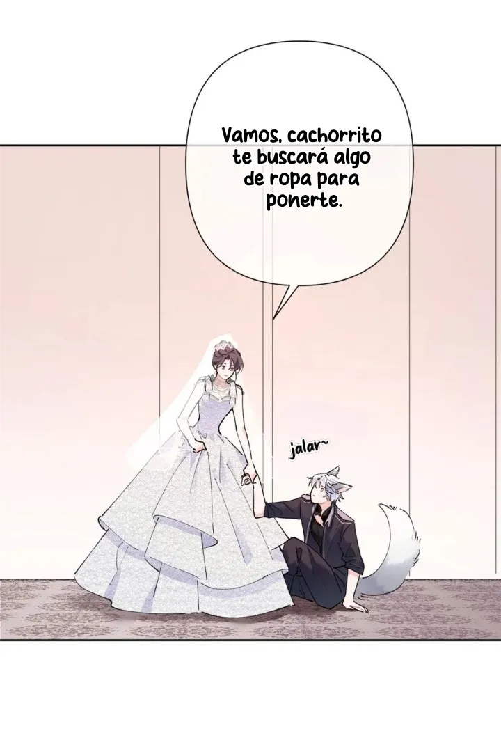 6 Me casé con mi comandante