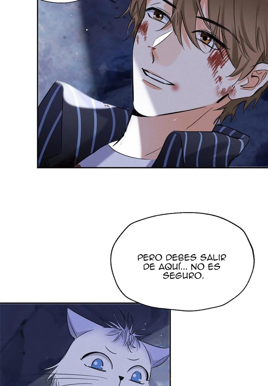 14 Tengo que trabajar duro para ser un gato hoy!