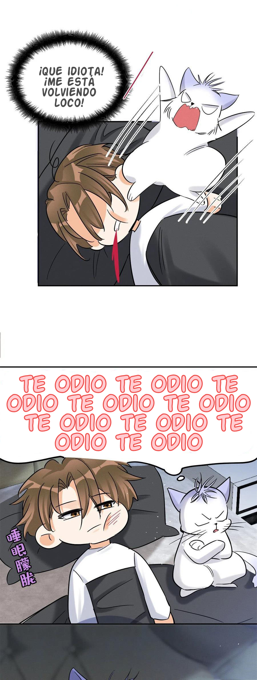 12 Tengo que trabajar duro para ser un gato hoy!