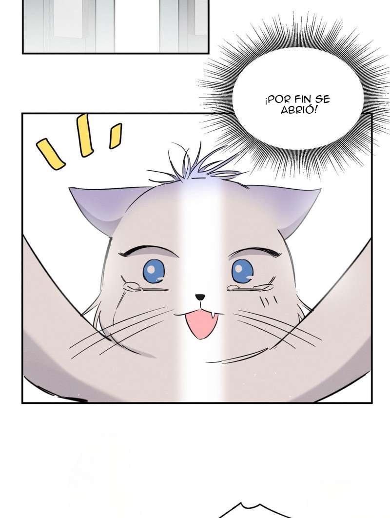 43 Tengo que trabajar duro para ser un gato hoy!