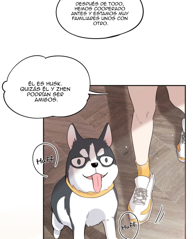 13 Tengo que trabajar duro para ser un gato hoy!
