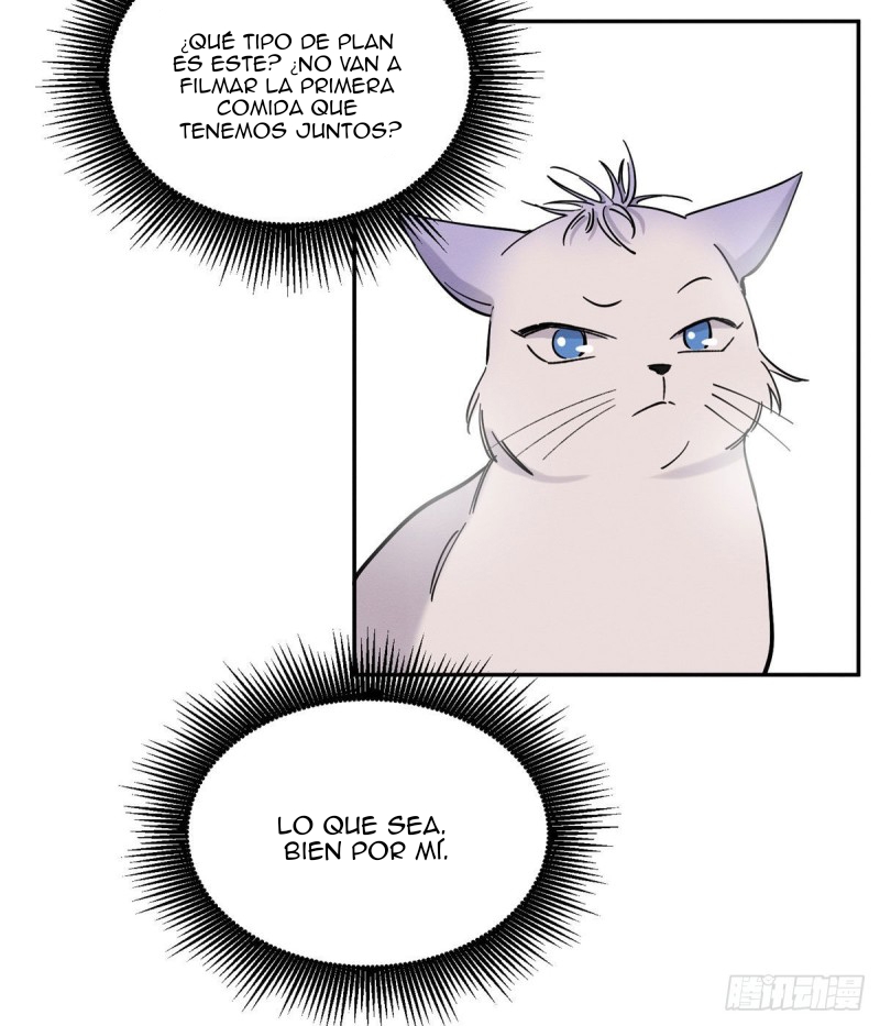 23 Tengo que trabajar duro para ser un gato hoy!