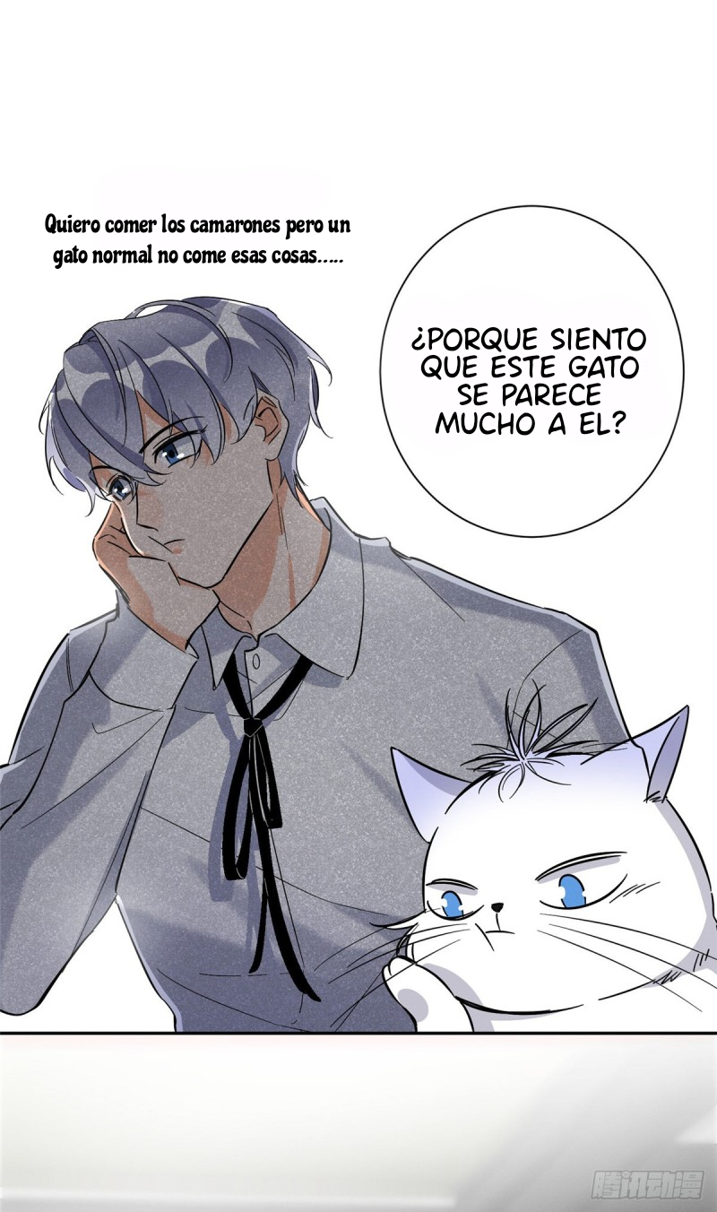 2 Tengo que trabajar duro para ser un gato hoy!