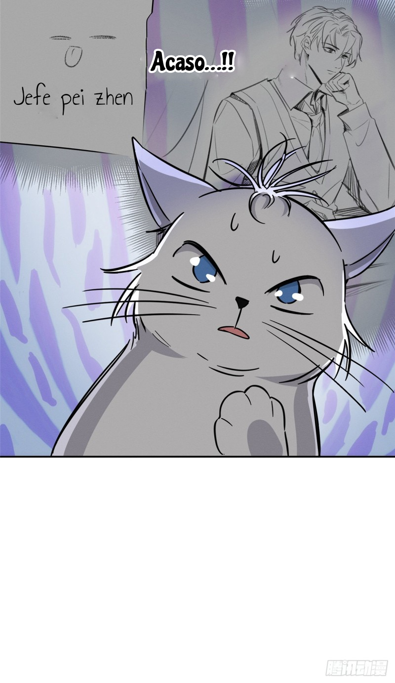 38 Tengo que trabajar duro para ser un gato hoy!
