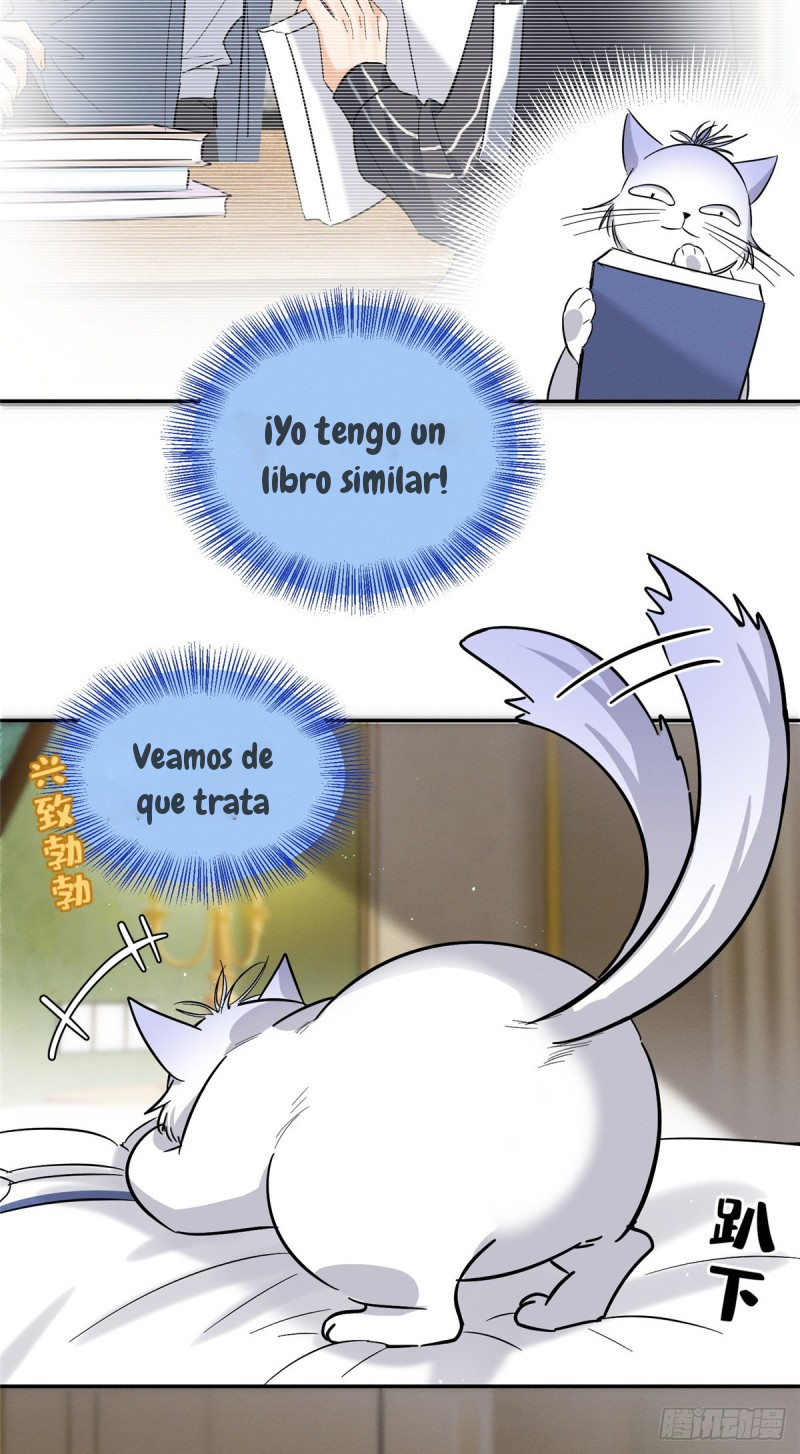 14 Tengo que trabajar duro para ser un gato hoy!
