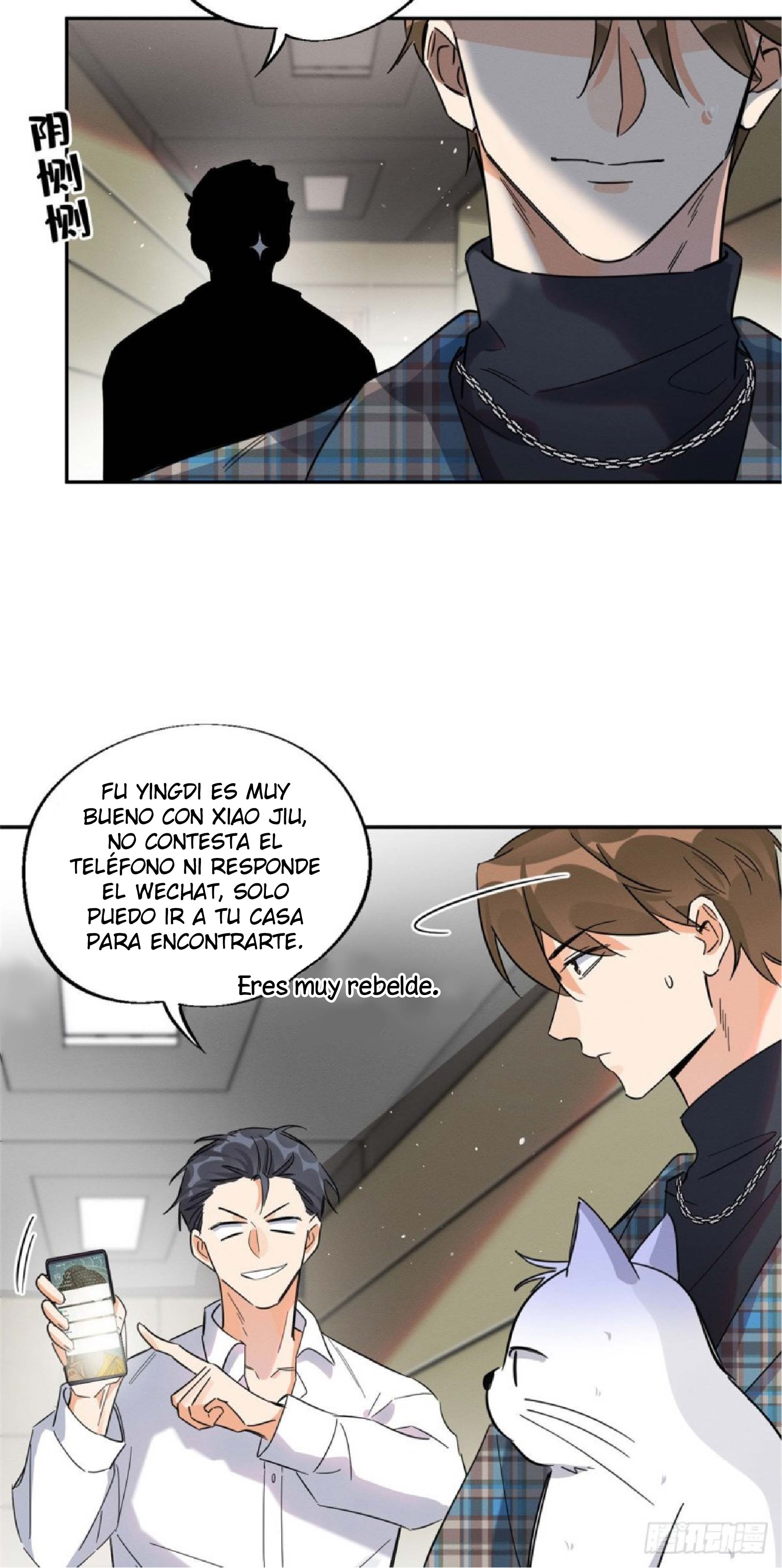 12 Tengo que trabajar duro para ser un gato hoy!
