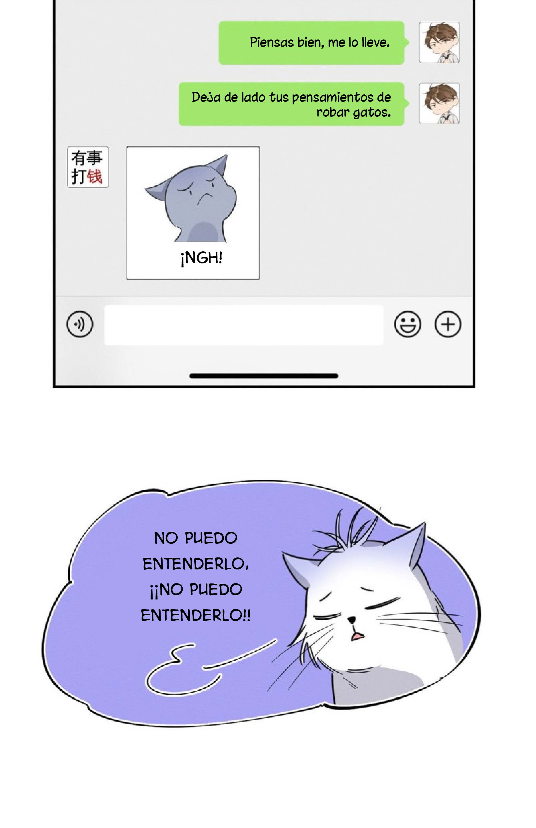 24 Tengo que trabajar duro para ser un gato hoy!