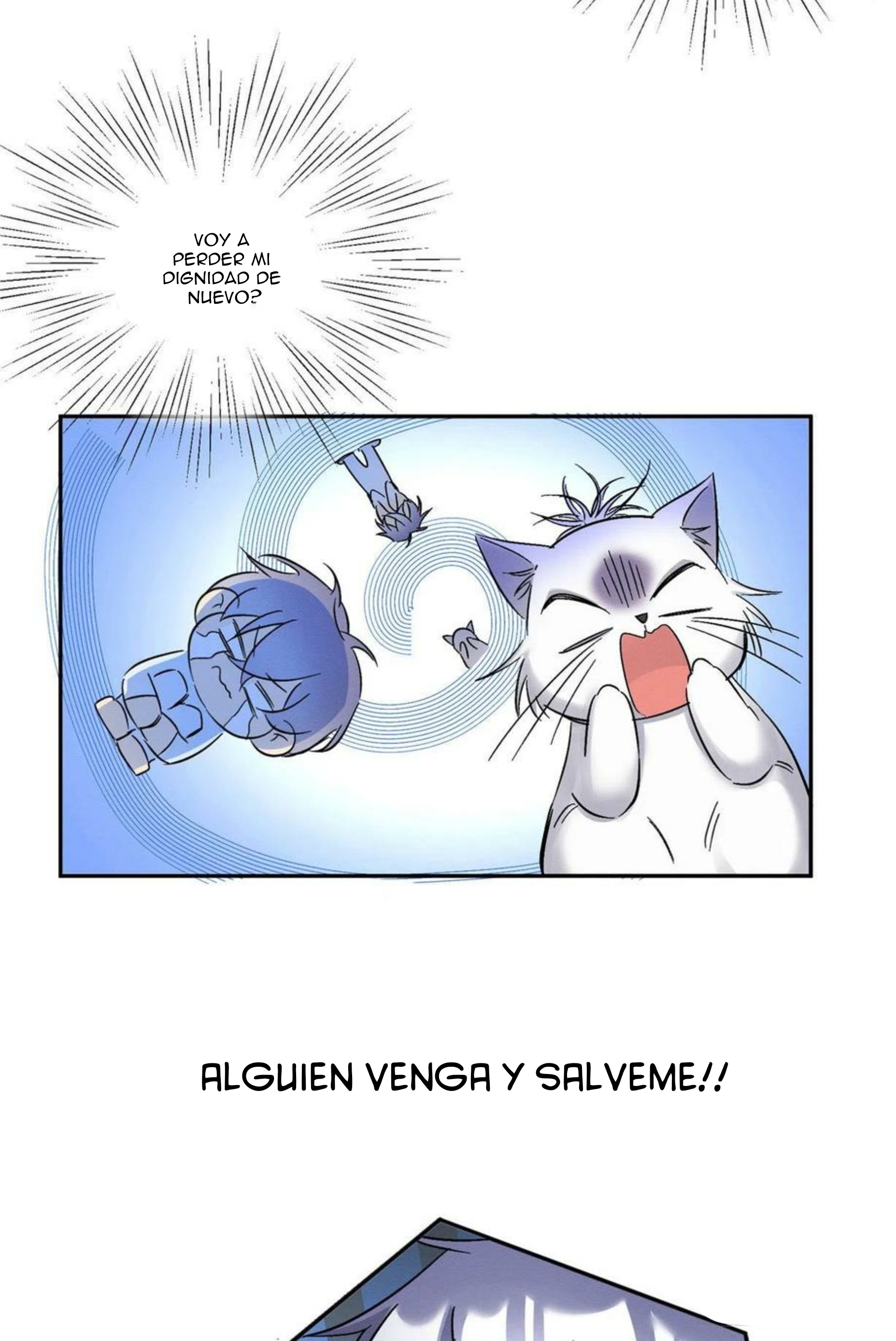 49 Tengo que trabajar duro para ser un gato hoy!