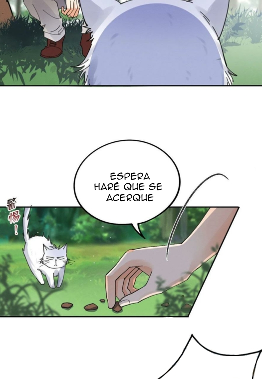 48 Tengo que trabajar duro para ser un gato hoy!