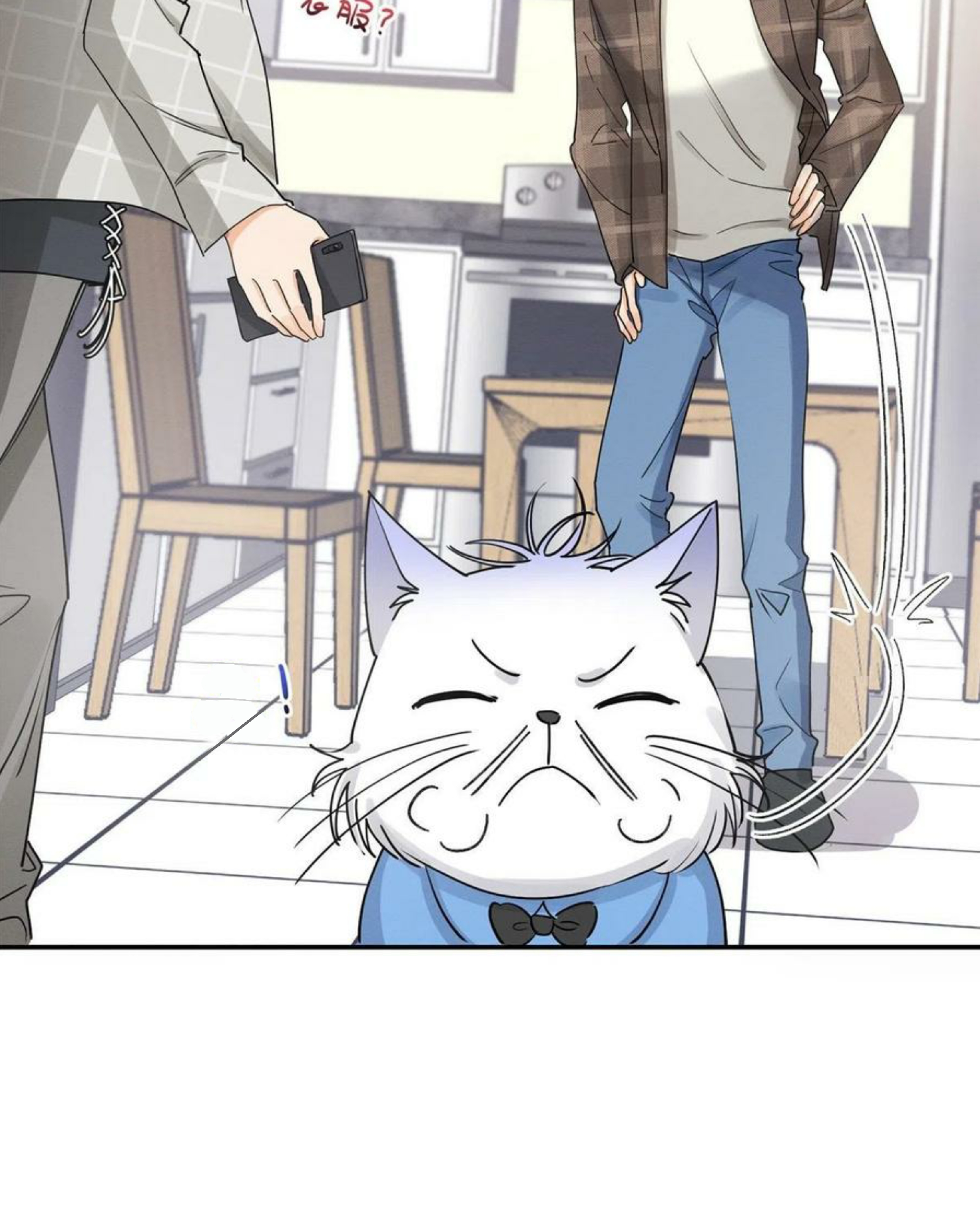 52 Tengo que trabajar duro para ser un gato hoy!