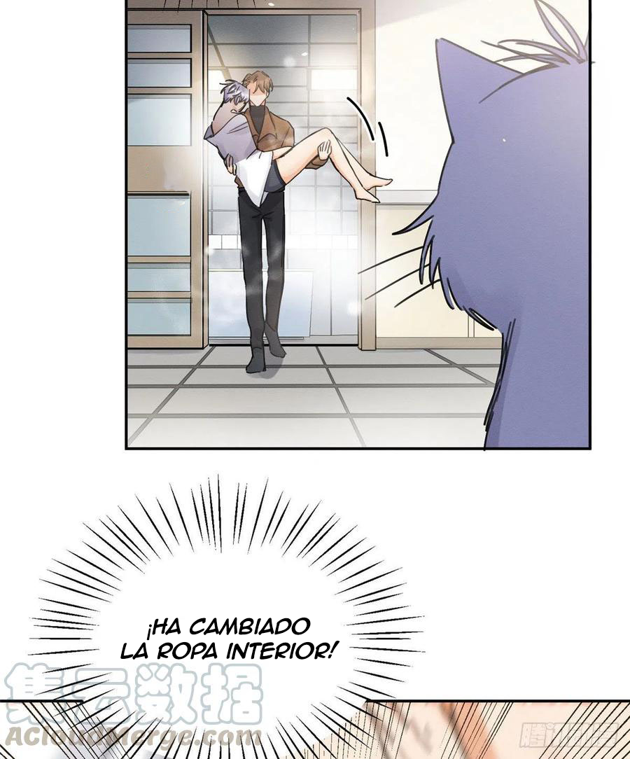 36 Tengo que trabajar duro para ser un gato hoy!