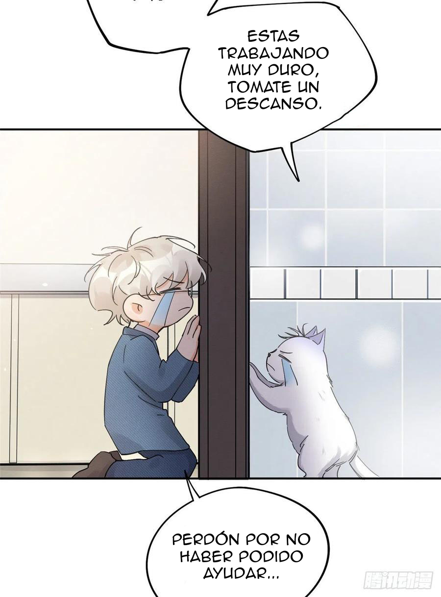 13 Tengo que trabajar duro para ser un gato hoy!